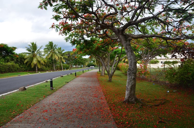 Fiji Beach